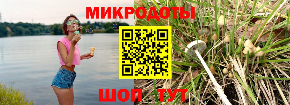 Галлюциногенные грибы Psilocybine cubensis  Галлюциногенные грибы мухоморы  Шадринск  Вход с VPN 